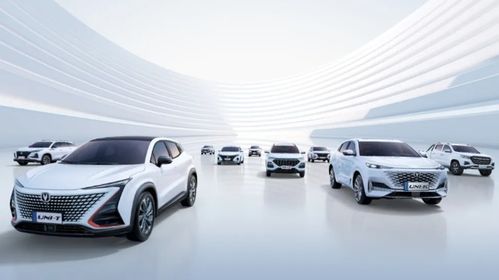 保有量超500万辆 重庆汽车产业转型高端制造供销两旺