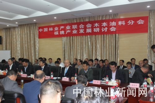 湖北豐年公司領(lǐng)導(dǎo)參加核桃產(chǎn)業(yè)發(fā)展研討會